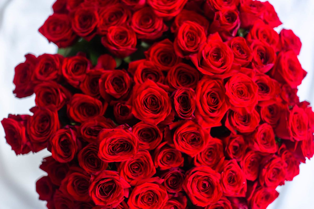 Bouquet Rosas Rojas The Flower Shop